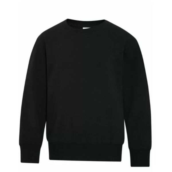 ATC™ EVERYDAY FLEECE CREWNECK YOUTH SWEATSHIRT Thumbnail